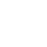 Diamond Badge Logo White