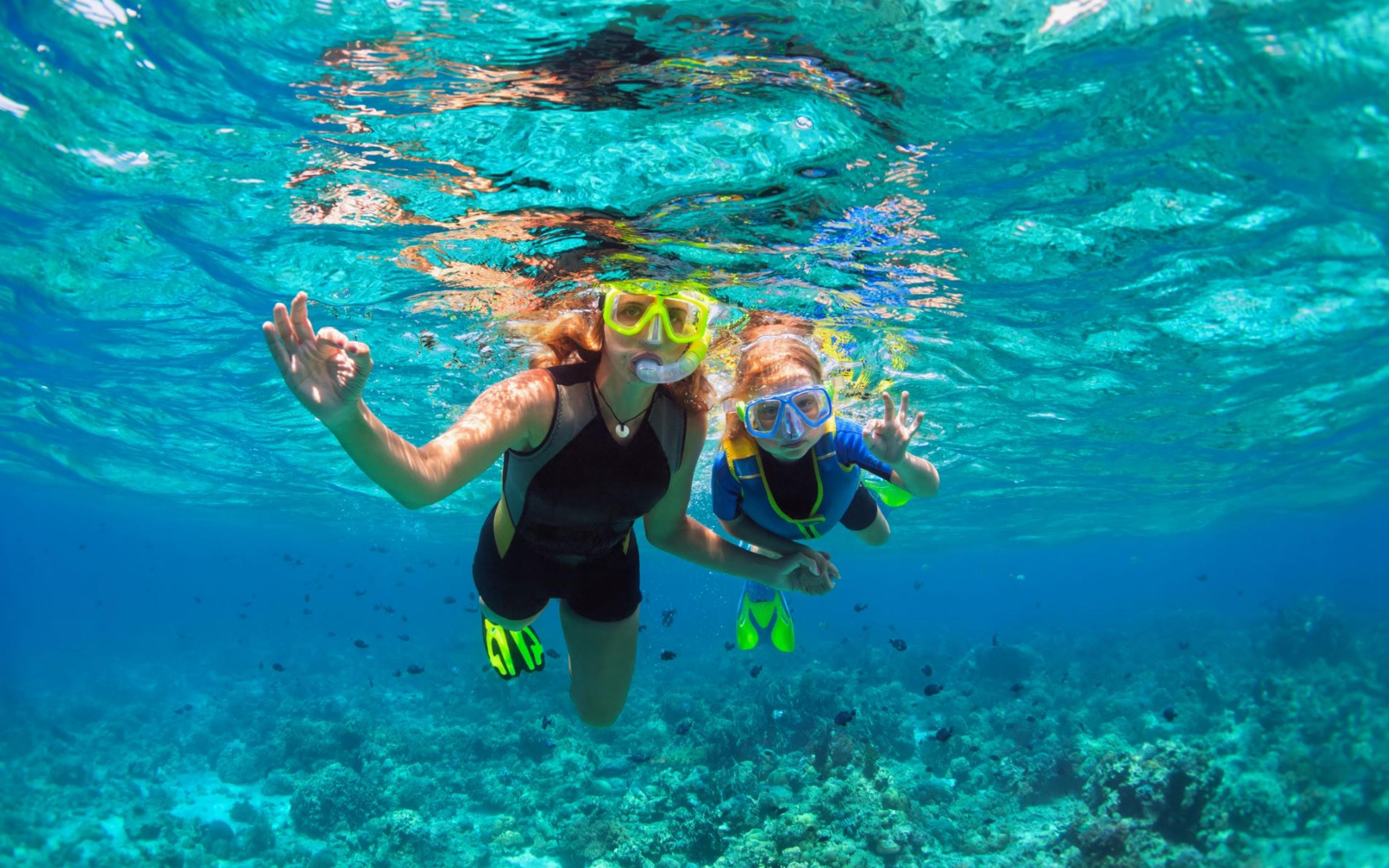 People Snorkelling